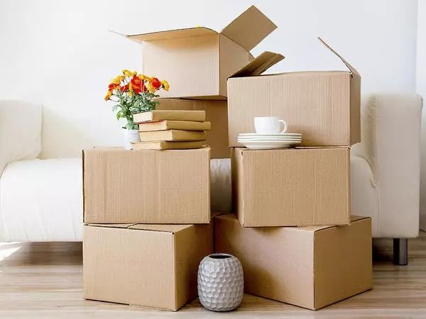 The Art of Moving